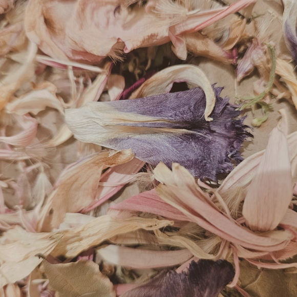 Hand-dried Black Ribbon on Floral Petal Arrangement - Picture 14 of 16